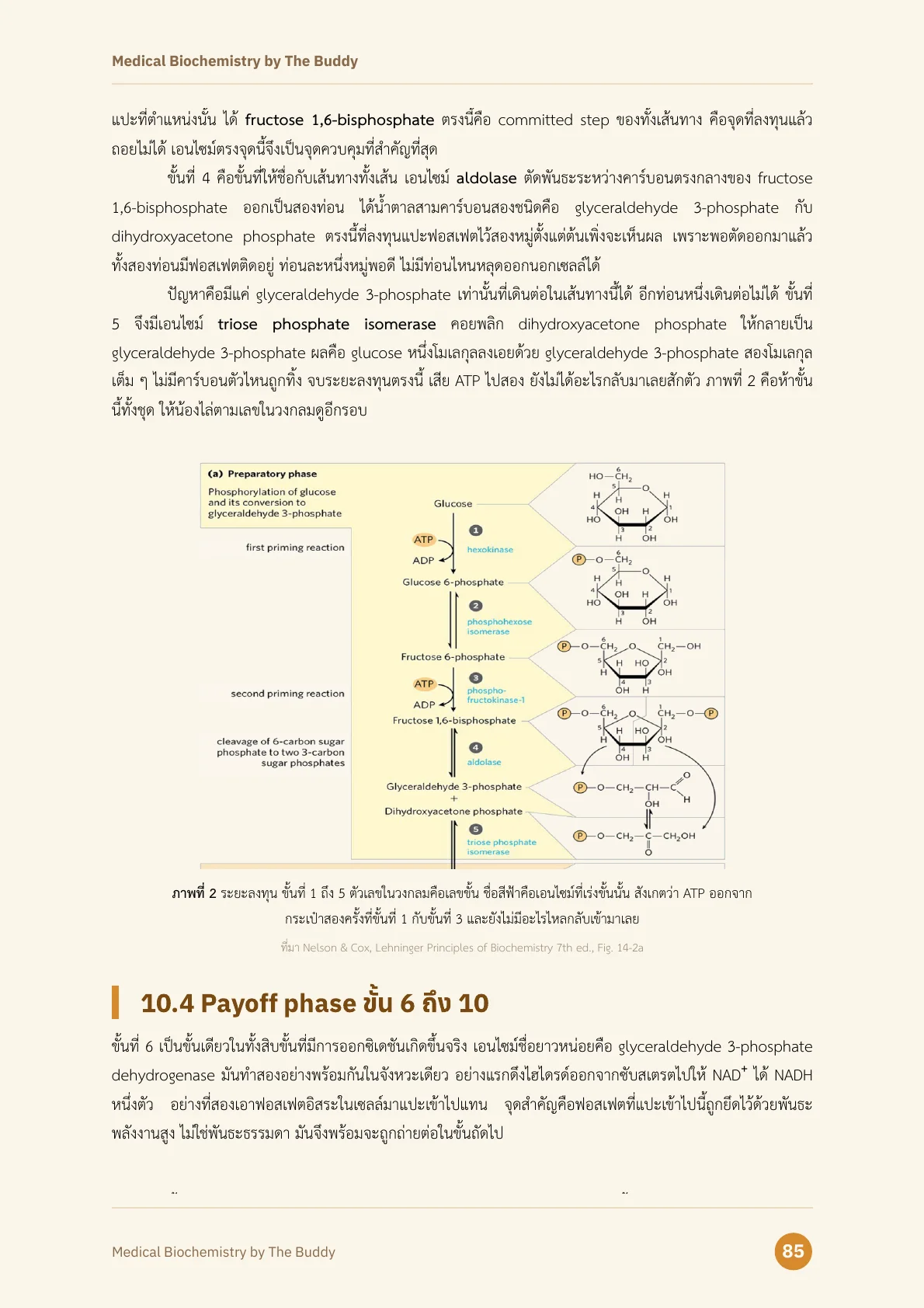 ตัวอย่างหน้าที่ 2 ของ Medical Biochemistry