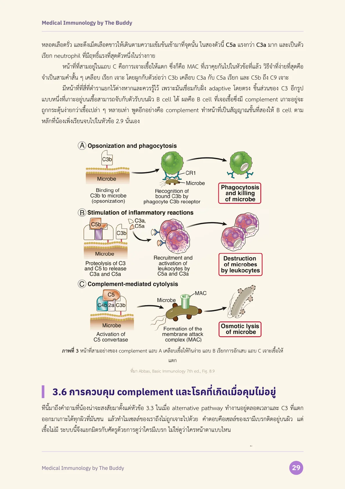 ตัวอย่างหน้าที่ 1 ของ Medical Immunology