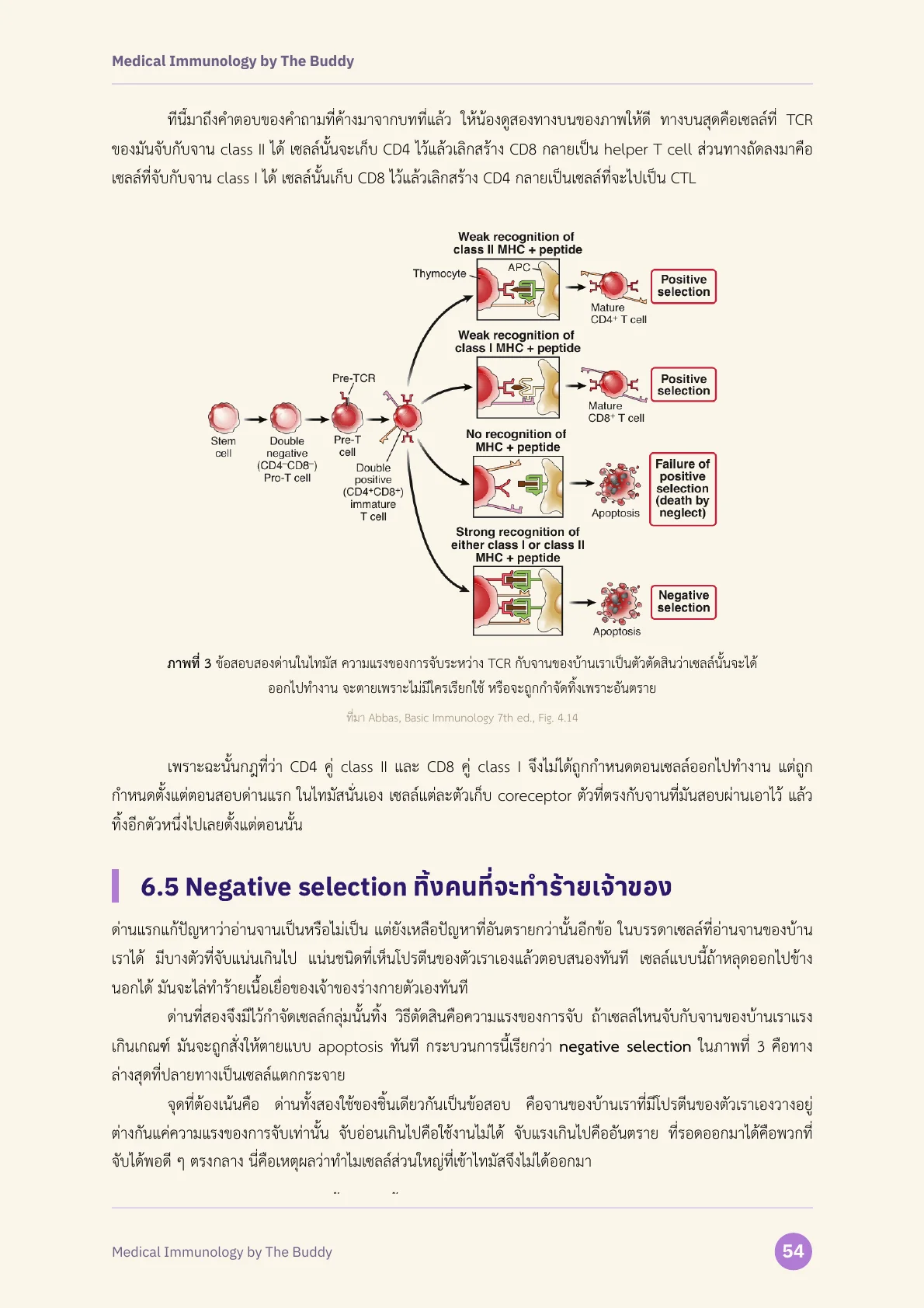 ตัวอย่างหน้าที่ 2 ของ Medical Immunology